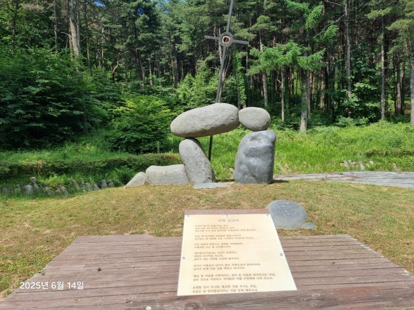 a0081b40854c20942cf5bb7bfd1516cc_1750003106_338.jpg